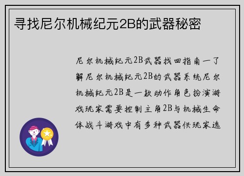 寻找尼尔机械纪元2B的武器秘密