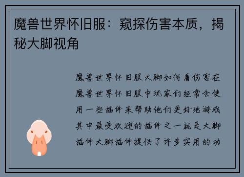 魔兽世界怀旧服：窥探伤害本质，揭秘大脚视角